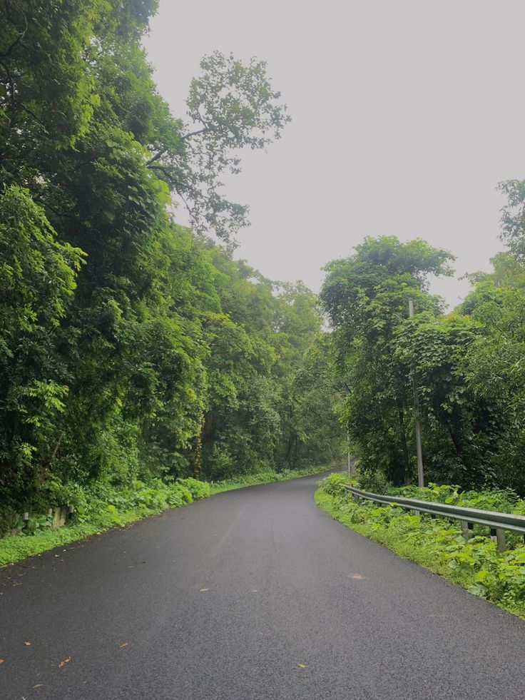 konkan road trip