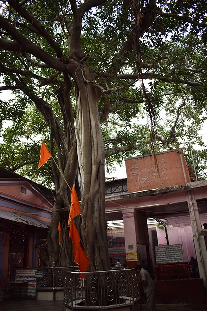 Vatavruksha Temple