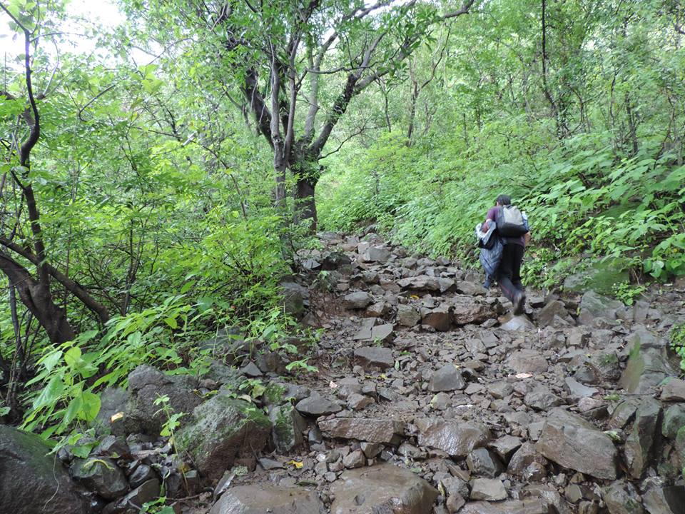 Gupt Bhimashankar Trek